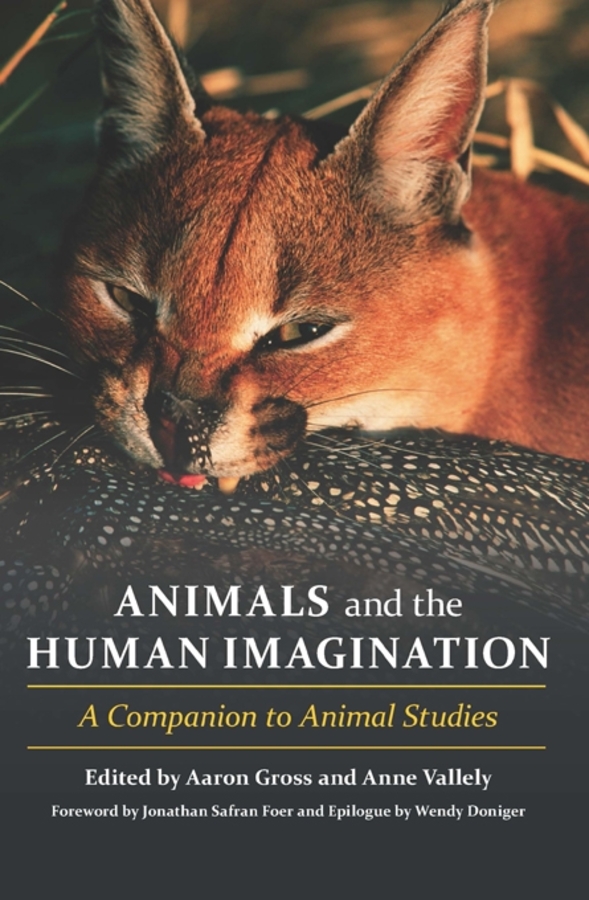 Study animal