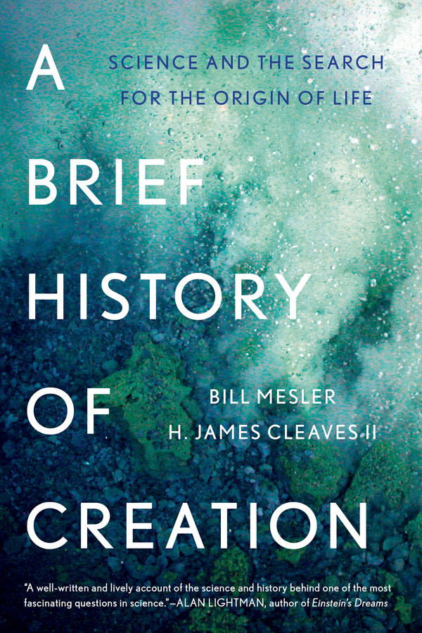 Picture of A Brief History of Creation