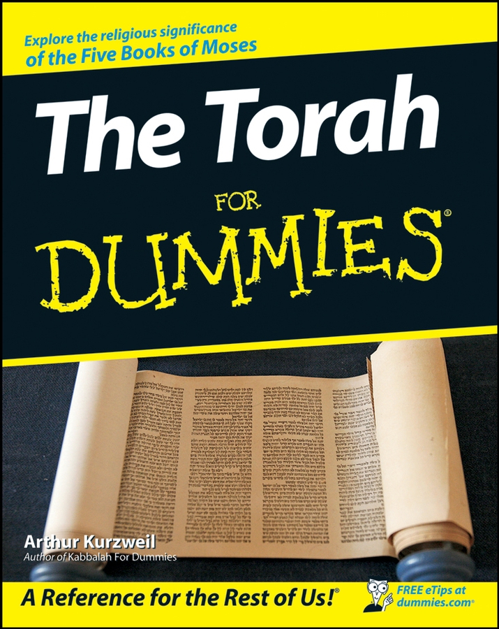 The Torah For Dummies book cover