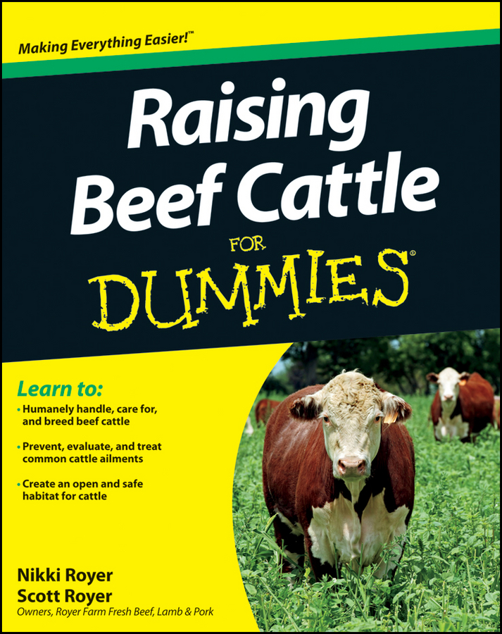 Raising Beef Cattle For Dummies book cover