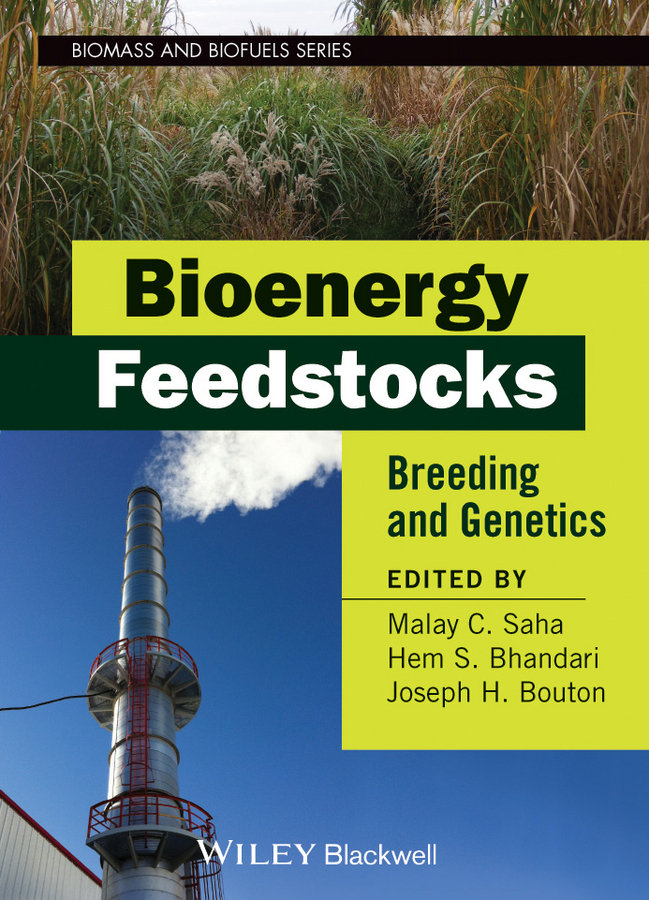 Picture of Bioenergy Feedstocks
