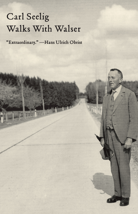 Picture of Walks with Walser