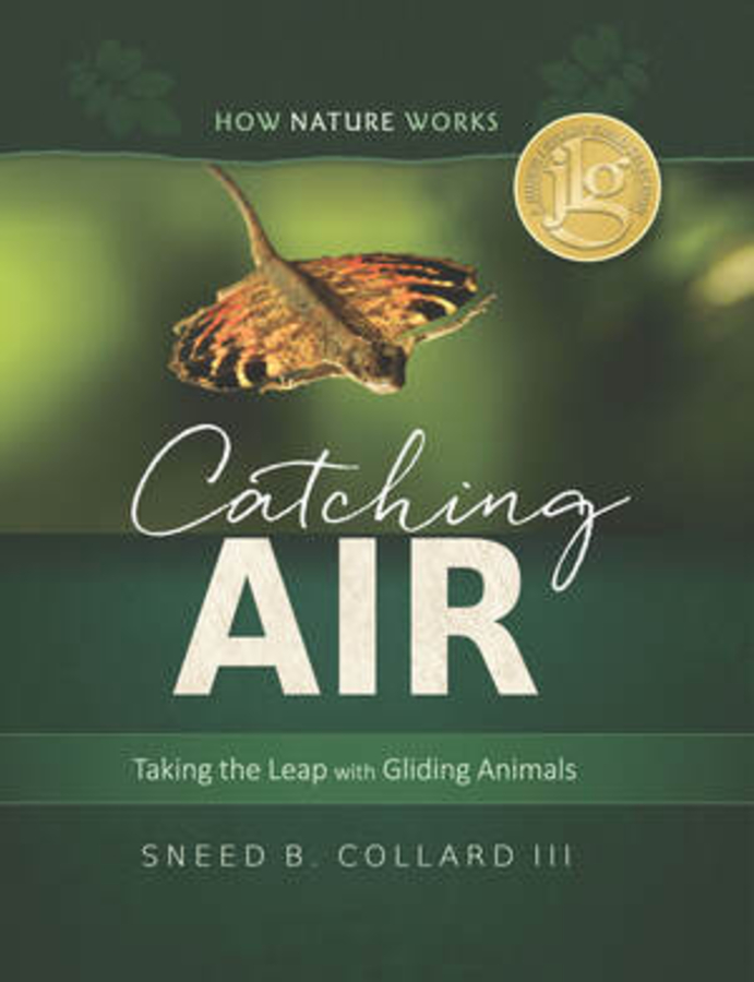 Picture of Catching Air