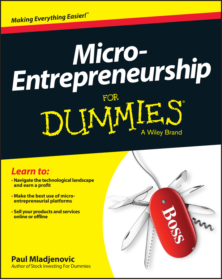 Micro-Entrepreneurship For Dummies book cover