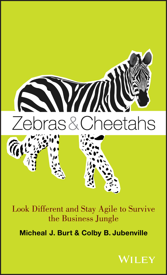 Picture of Zebras and Cheetahs
