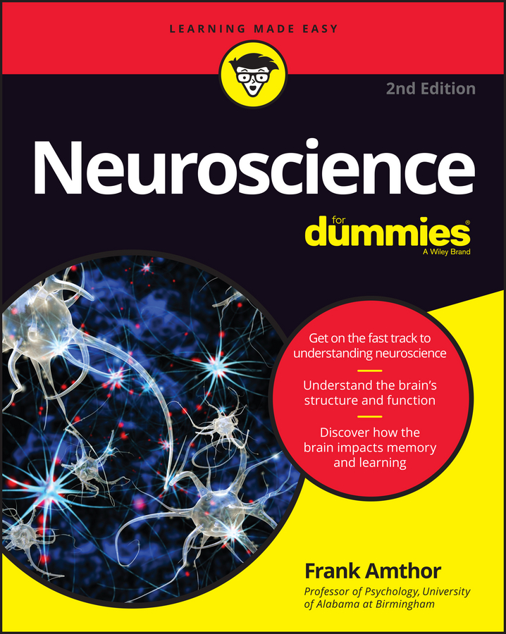 Neuroscience For Dummies book cover