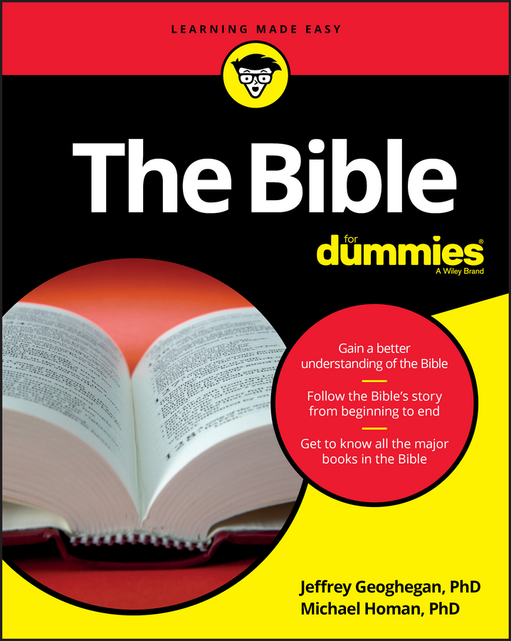 The Bible For Dummies book cover