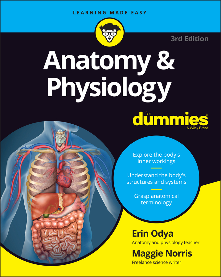 Anatomy & Physiology For Dummies book cover