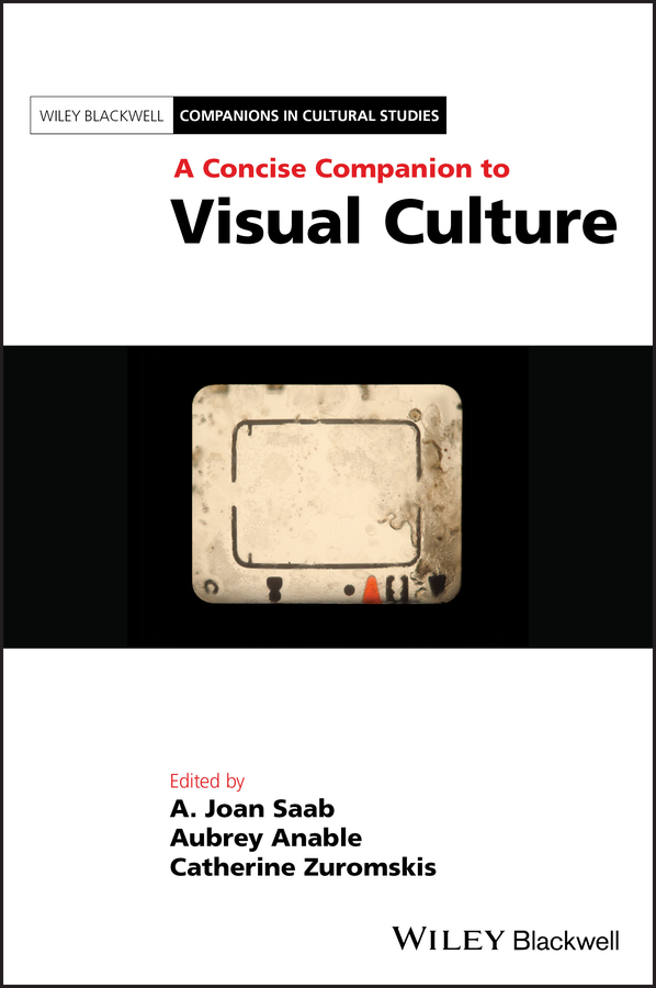 Picture of A Concise Companion to Visual Culture