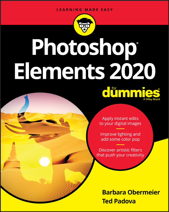 How to Use the Elements Catalog Manager dummies