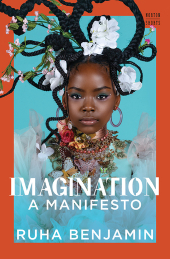 Picture of Imagination