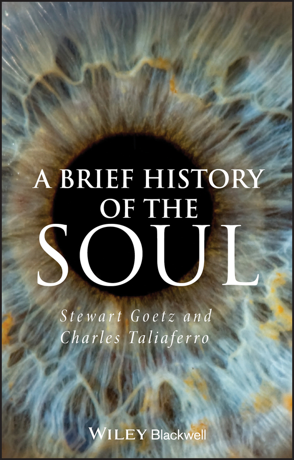 Picture of A Brief History of the Soul