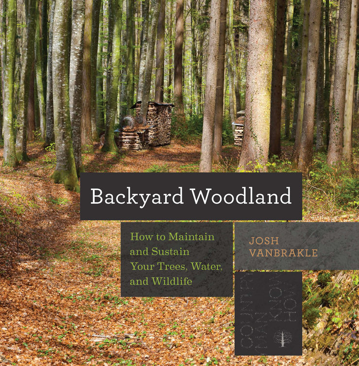 Picture of Your Backyard Forest
